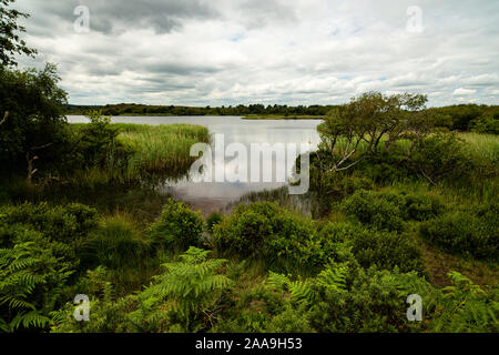 Studland Heath à la mer en direction de Little, Dorset Banque D'Images