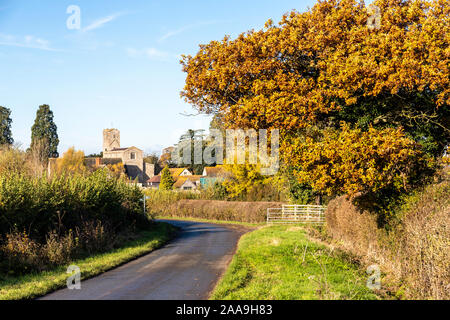 Un chêne à l'automne à côté de l'allée à Deerhurst dans la Severn Vale, Gloucestershire UK Banque D'Images