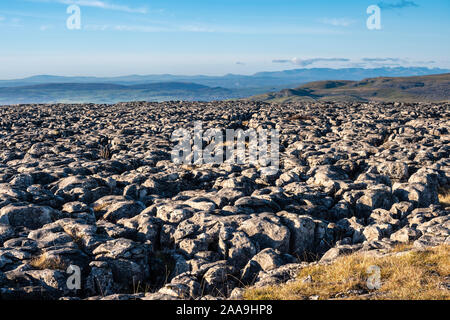 Le Yorkshire Three Peaks Challenge prend sur les pics de Pen-y-ghent, Whernside et Ingleborough, généralement dans cet ordre, et en moins de 12 heures. Banque D'Images