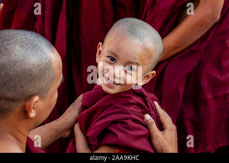 Un moine novice à la pagode Shwedagon, Yangon, Myanmar. Banque D'Images