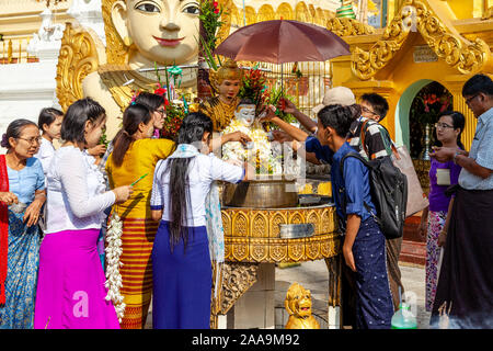 Les gens prennent part à des bouddhistes le rituel de verser de l'eau plus de statues bouddhiques, la pagode Shwedagon, Yangon, Myanmar. Banque D'Images