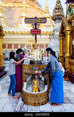 Les gens prennent part à des bouddhistes le rituel de verser de l'eau plus de statues bouddhiques, la pagode Shwedagon, Yangon, Myanmar. Banque D'Images