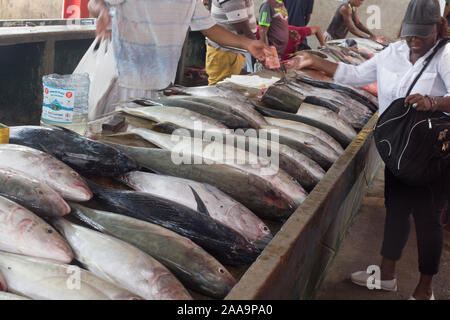 Victoria, Seychelles - Avril 29, 2019 : les gens d'acheter du poisson au marché de poisson de Victoria Banque D'Images