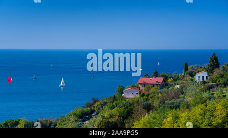 Colline et vue sur la mer Adriatique de Piran, Slovénie, Europe. Banque D'Images