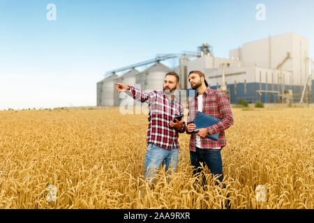 L'agriculture intelligente à l'aide de technologies modernes dans l'agriculture. Agriculteur agronome Man with digital tablet computer in champ de blé à l'aide d'apps et Internet Banque D'Images