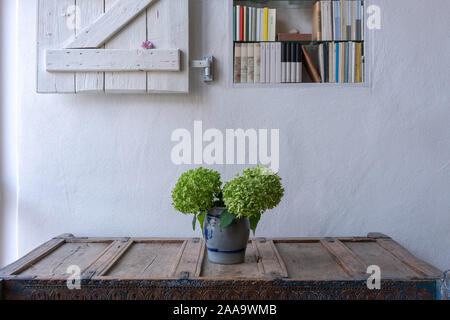 Close up de fleurs sur une armoire en face d'un mur blanc avec petite étagère décorée avec obturateur en bois blanc Banque D'Images