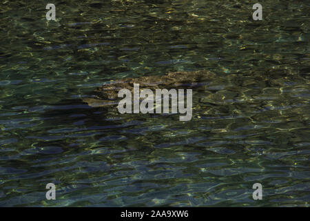 Soft mer vague sur la mer, l'arrière-plan Banque D'Images