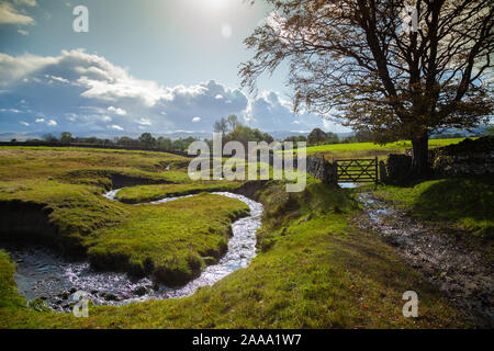 Un sentier le long d'un ruisseau à l'extérieur du village d'Orton, Cumbria, Angleterre. Banque D'Images