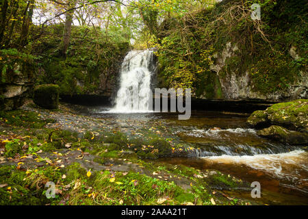 Gastack Beck tombe près du village de la dent dans le Yorkshire Dales National Park, England. Banque D'Images