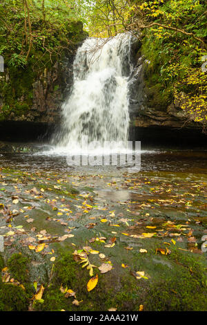 Gastack Beck tombe près du village de la dent dans le Yorkshire Dales National Park, England. Banque D'Images