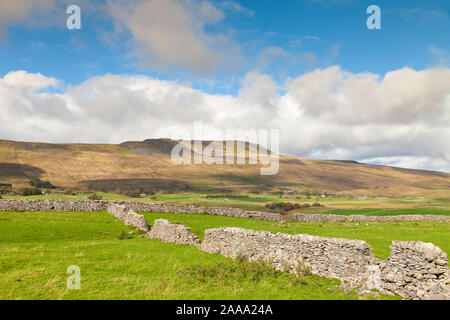 Whernside Hill vu de près de Chapelle-le-Dale dans les vallées du Yorkshire, Angleterre. Banque D'Images