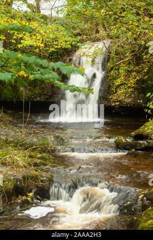 Gastack Beck tombe près du village de la dent dans le Yorkshire Dales National Park, England. Banque D'Images