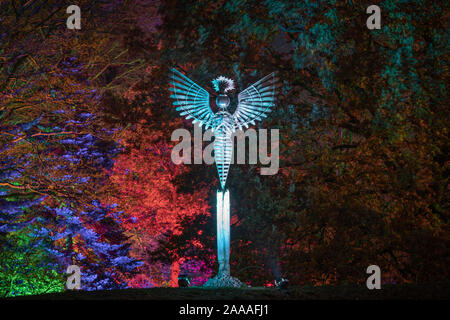 News : RHS Gardens Glow Harlow Carr 2019 Événement, Harrogate, Royaume-Uni. 20 novembre, 2019. Nuit du Sentier lumineux aperçu autour du jardin, les faits saillants, Harrogate, North Yorkshire, UK. Événement ouvre au public le 21 novembre 2019. Credit : pris la photographie lumière/Alamy Live News. Banque D'Images