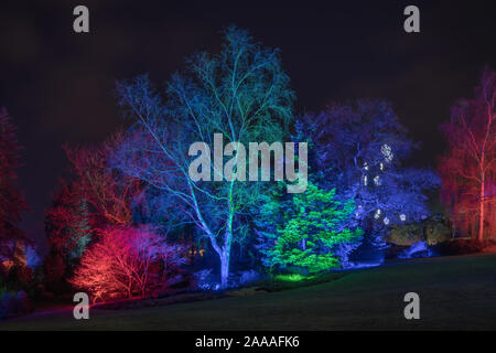 News : RHS Gardens Glow Harlow Carr 2019 Événement, Harrogate, Royaume-Uni. 20 novembre, 2019. Nuit du Sentier lumineux aperçu autour du jardin, les faits saillants, Harrogate, North Yorkshire, UK. Événement ouvre au public le 21 novembre 2019. Credit : pris la photographie lumière/Alamy Live News. Banque D'Images