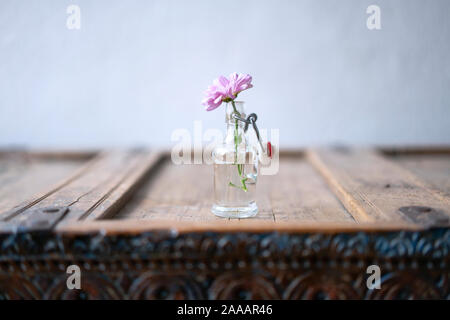 Belle aster rose dans un petit vase en verre décoré dans un caisson en bois rustique minable devant un mur blanc Banque D'Images