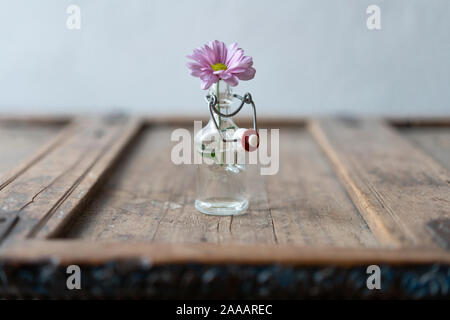 Rose Fleur d'été unique dans une petite bouteille en verre sur un minable en bois en face de guéridons aménagées sur un mur blanc Banque D'Images