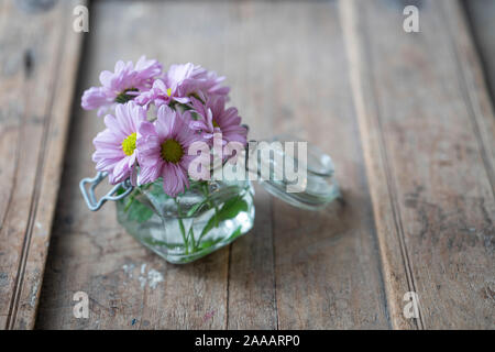Purple Asters dans un petit vase en verre à partir de ci-dessus, sur un mobilier en bois rustique minable Banque D'Images
