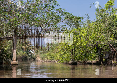 À Cai Be, Delta du Mekong, Vietnam - Mars 13, 2019 : le long du canal 28 Kinh. Fossé rempli d'eau et pont bow pedestiran sur elle. Les feuilles vertes, br Banque D'Images