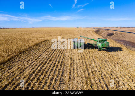 Ragan, Nebraska - Récolte du maïs. Banque D'Images