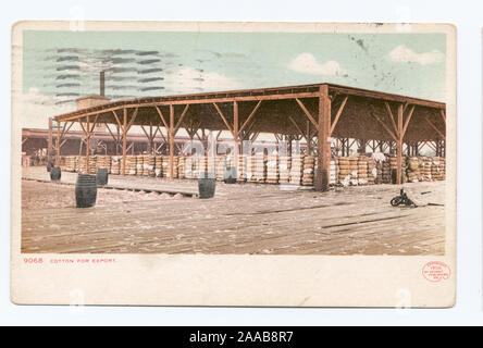 Detroit est devenu l'entreprise d'édition. Nouvelles mentions légales avec palette de l'artiste marque. Inclus des images avec les dates antérieures à 1906. ; coton pour l'exportation, l'Afrique Banque D'Images