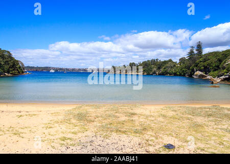 Télévision Collins Beach, parc national du Port de Sydney, Manly, Sydney, New South Wales, NSW, Australie Banque D'Images