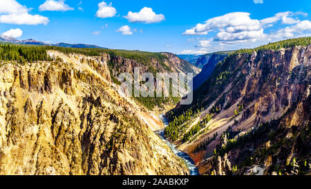 La rivière Yellowstone comme il coule à travers le Grand Canyon de la Yellowstone en parc national de Yellowstone dans le Wyoming, États-Unis d'Amérique Banque D'Images