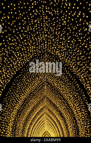 Londres, Angleterre, Royaume-Uni - 04 janvier 2019 : les lumières de Noël affichage la nuit à Kew Royal Botanic Gardens, London, UK Banque D'Images