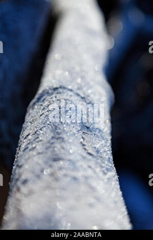 Cristaux de glace sur un arbre tombé gisant dans la forêt Banque D'Images