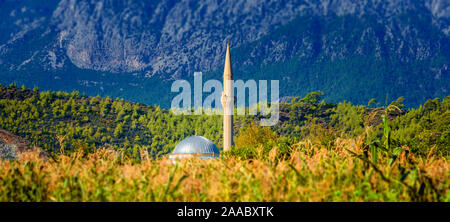 Mosquée dans un champ de blé sur un fond de montagnes. La Turquie, Kirish. Banque D'Images