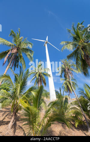 Wind turbine entourée de palmiers, la Thaïlande Banque D'Images