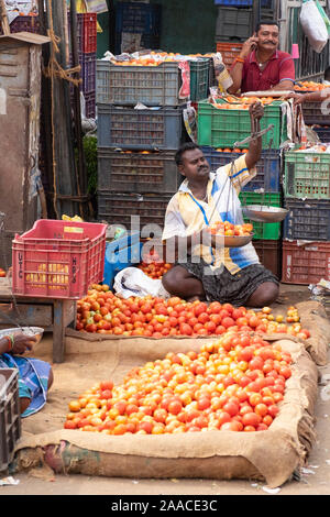 Vendeur de tomates au marché Gandhi à Tiruchirappalli, Tamil Nadu, Inde . Banque D'Images