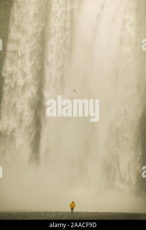 L'ISLANDE SKOGAFOSS Waterfall Banque D'Images