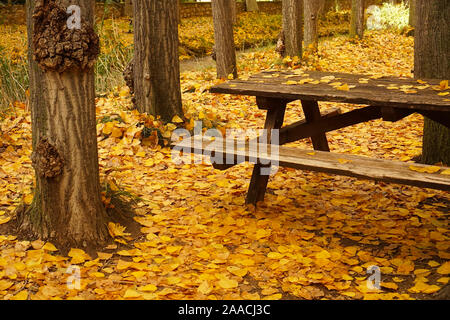 Banc de pique-nique couverte de feuilles d'automne dans les bois Banque D'Images