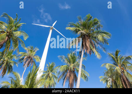 Wind turbine entourée de palmiers, la Thaïlande Banque D'Images