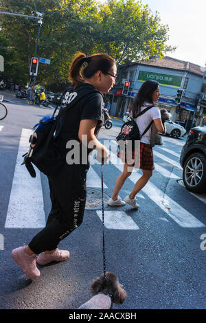 Shanghai, Chine, jeunes femmes chinoises, dans profil, traverser une rue occupée, chien de marche, scènes de rue, centre-ville, zone de Xin Tian Di, marche urbaine, adolescents chinois, animaux de compagnie urbains, chine jeune femme, les riches adolescents ET la chine Banque D'Images