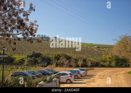 Les voitures des visiteurs en face des vignobles de Jordanie Winery, Stellenbosch, Western Cape, Afrique du Sud Banque D'Images