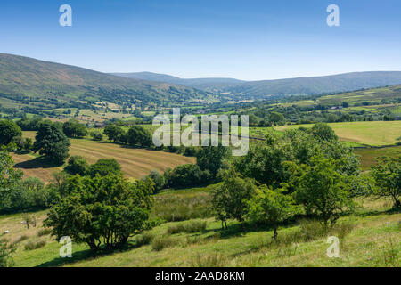 La vue sur Dentdale dans le Parc National des Yorkshire Dales, Cumbria, Angleterre. Banque D'Images