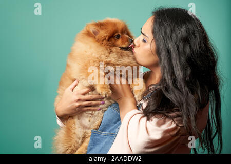 Bisous brunette enceinte vide pug sur fond bleu en studio Banque D'Images