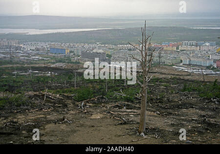 Terres polluées avec des arbres morts près de Norilsk, une grande ville industrielle au-delà du cercle arctique qui produit Nickle, le Palladium, le cuivre, le cobalt, etc. et est la plus grande source stationnaire de la pollution de l'air à la Russie. Effet de serre, notamment le dioxyde de soufre, d'oxydes d'azote, de chlore et, fenol polluer une vaste zone autour de la ville, de la Russie, 2001. Banque D'Images