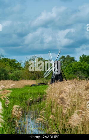 Wicken Fen les milieux humides au moulin et la pompe à eau roseaux Phragmites, Cambridgeshire, Angleterre, peut. Banque D'Images