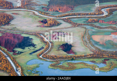 Vue aérienne de l'Laitaure delta ou Rapa River delta à l'automne. Le Parc National de Sarek, Rapadalen Laponia, Site du patrimoine mondial de l'Unesco en Laponie suédoise, la Suède. Septembre 2013. Banque D'Images