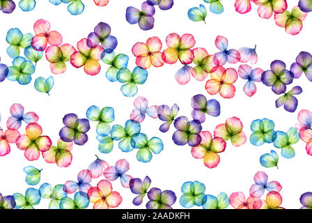 Fleurs aquarelle transparente. Motif florale. La main isolé avec des usines sur le terrain pour l'écran conception, textile, tissu Banque D'Images