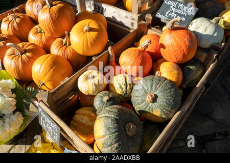 Gros plan de citrouilles et de squatons mélangés à vendre sur un marché de légumes et de fruits stalle North Yorkshire Angleterre Royaume-Uni Grande-Bretagne Banque D'Images