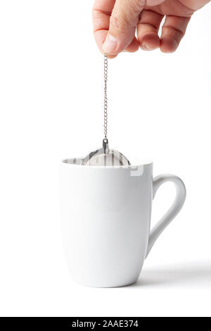 Infuseur à thé passoire métallique dans une main humaine l'immersion et le trempage dans une tasse isolated on white Banque D'Images