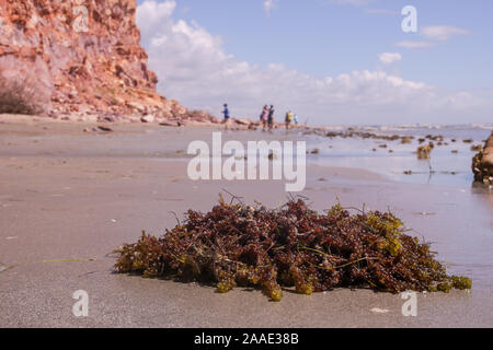 Coucher du soleil sur la falaise d'icapui dans le nord du Brésil Banque D'Images