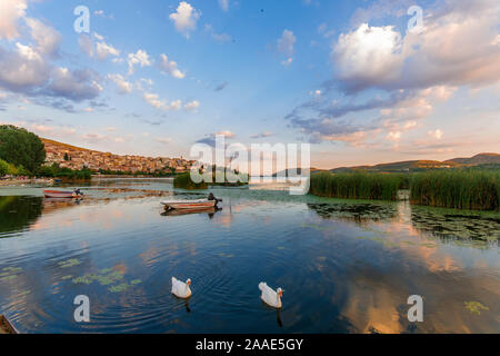 Deux cygnes nageant dans un lac paisible. La ville de Kastoria, Grèce du Nord, visible à l'arrière-plan. Ciel bleu et le coucher du soleil les couleurs. Banque D'Images