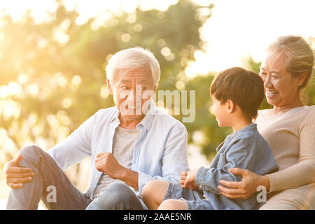 Petit-fils de l'Asie, grand-père et grand-mère chat assis sur l'herbe en plein air dans le parc au crépuscule Banque D'Images