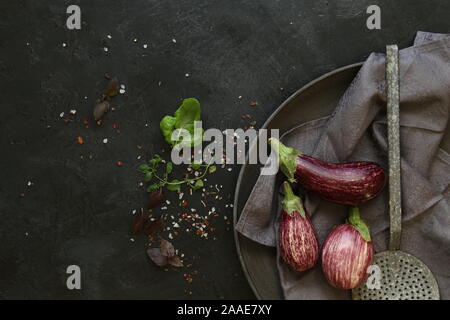 Plusieurs zebra d'aubergine sur fond d'ardoise sombre. Banque D'Images