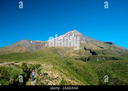 Homme randonnée dans le Mont Taranaki, Egmont National Park, près de Stratford, côte ouest de l'Île du Nord, Nouvelle-Zélande Banque D'Images