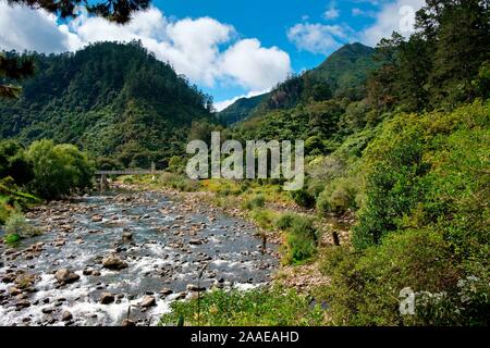 Chemin des loisirs Karangahake Gorge sur le Ohinemuri, près de Waihi, Bay of Plenty, île du Nord, Nouvelle-Zélande Banque D'Images